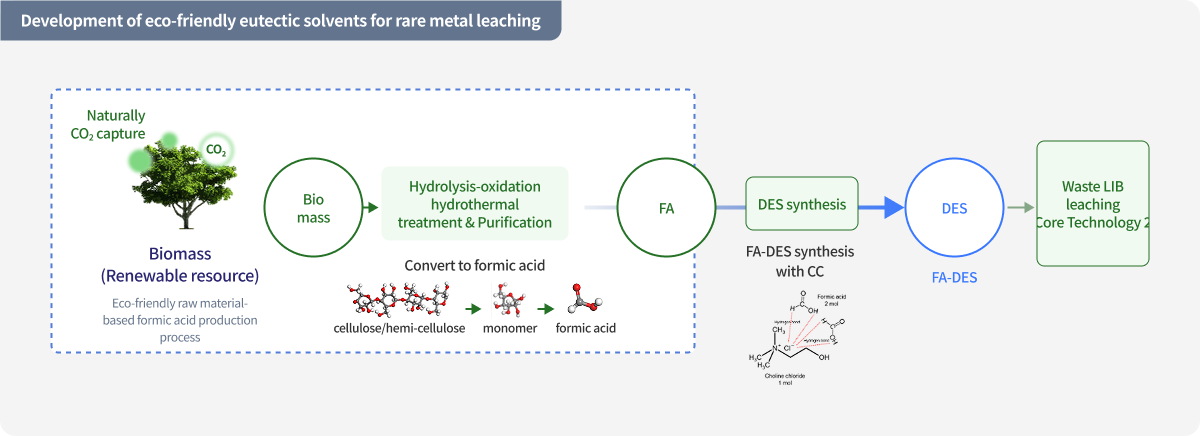 Development of eco-friendly eutectic solvents for rare metal leaching